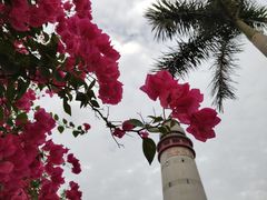 -五通灯塔公园