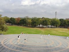 -上海吴淞炮台湾国家湿地公园