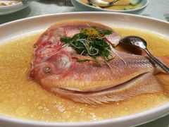 清蒸南海红星斑-怡和春天大酒楼(柳芳店)