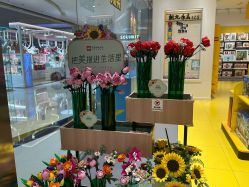 -乐高授权专卖店(朝阳大悦城店)