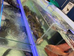 -盒马X会员店(上海森兰商都店)