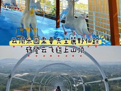 -盈香心动乐园