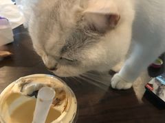 -喜茶(上海兴业太古汇店)