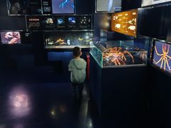 -同济大学四平路校区深海探索馆