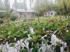 -济南国际园博园