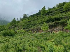 -萝卜寨羌文化生态旅游区
