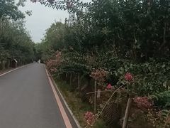 -武汉紫薇都市田园