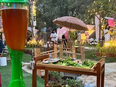 -十亩森林