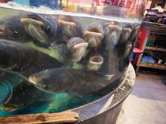 -魏铭鱼头捞饭(晋阳路店)