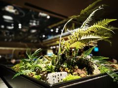 -领鲜天下·焗海鲜·花胶鸡(天目里店)