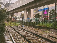 -王二甩老木子鸡(江湾店)