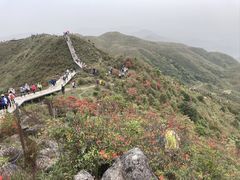 -广东天露山旅游度假区