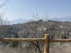 -白水寺森林公园