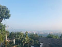 -南山植物园
