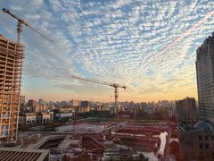 -叶家花园