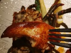 -蝶舍·MAISON PAPILLON