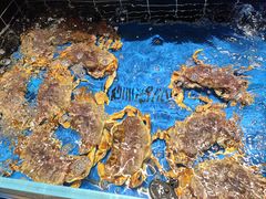 -阿明小菜·海鲜·上海菜(梅陇店)