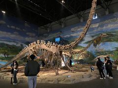 -自贡恐龙博物馆
