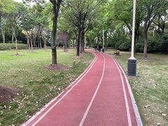 -新虹桥中心花园