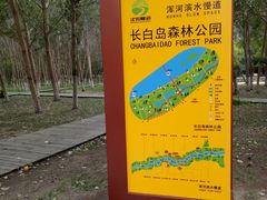 -长白岛森林公园