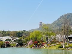 -牛首山文化旅游区