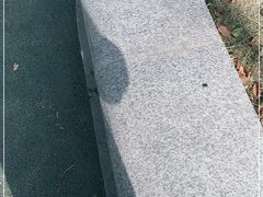 -金科路(地铁站)