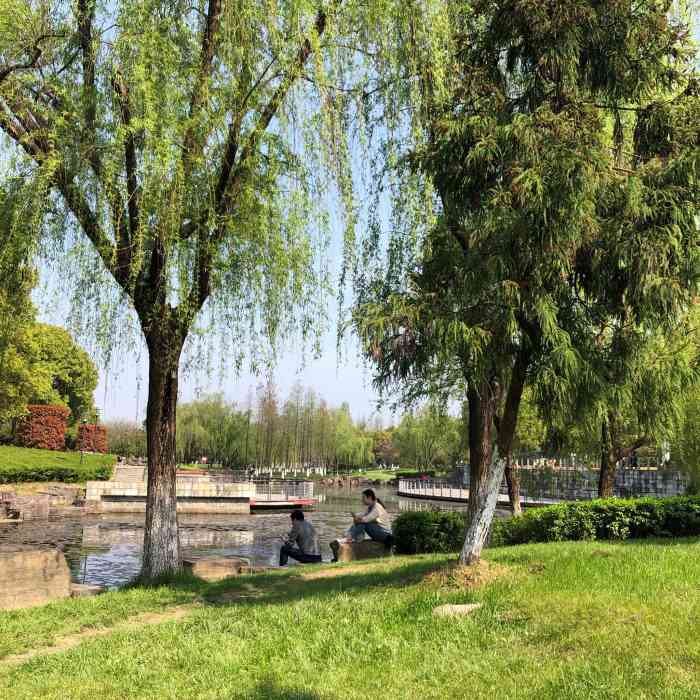 doctype html> html lang="zh-cn"> head> meta