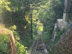 -神户市立六甲山牧场