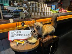 -杂咖zacup(领展中心城店)