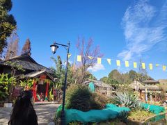 -云南民族村