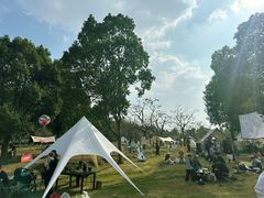 -如意山房柿子树下餐厅