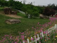 -秀丽东方