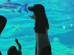 -龙谷湾旅游休闲度假区