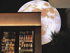 -烫面包·面包烘焙(绿地缤纷城店)