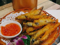 -利杨记·本味轩粥坊·烧烤(宝体店)