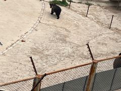 -青藏高原野生动物园