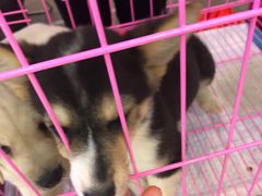 -万达广场(北京槐房店)