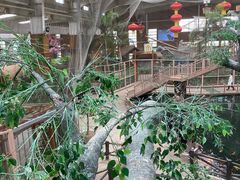 -南宫五洲植物乐园