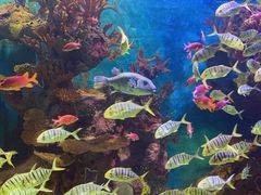 -多彩贵州城极地海洋世界