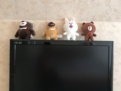 -中旅阿那亚九龙湖·公主酒店