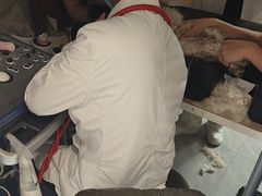 -瑞鹏宠物医院·骨科·猫科·内科(第一中心)
