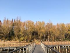 -昆山城市生态森林公园