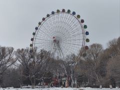 -青城公园