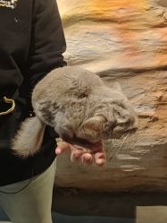 -Zoolung Zoolung动物主题公园(海信广场店)