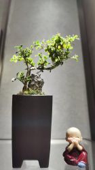 -御珠宫坊(壹海城ONEMALL店)