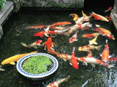-馨园villa融合菜(东山店)