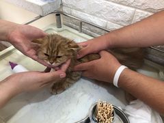 -美联众合动物医院·24h京西诊疗中心