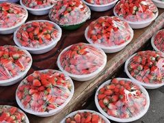 -堤口果品批发市场