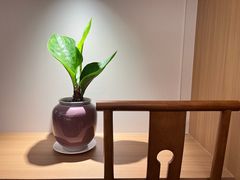 -金河半岛园林酒家(金融城店)
