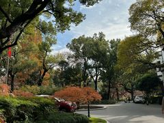 -申粤轩酒楼·三十年粤菜经典(丁香花园店)
